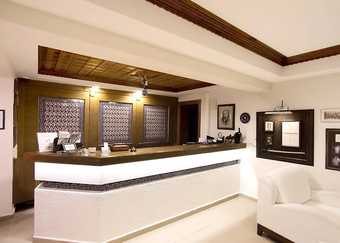 Summer מלון אקיאקה